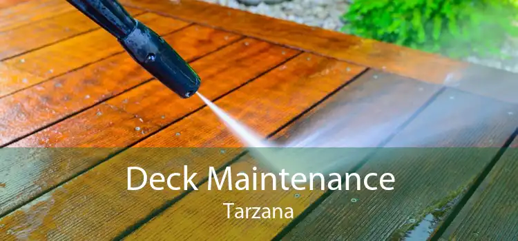 Deck Maintenance Tarzana