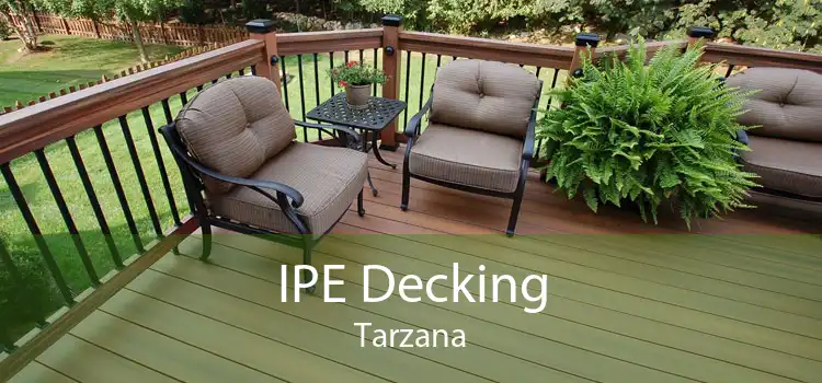 IPE Decking Tarzana